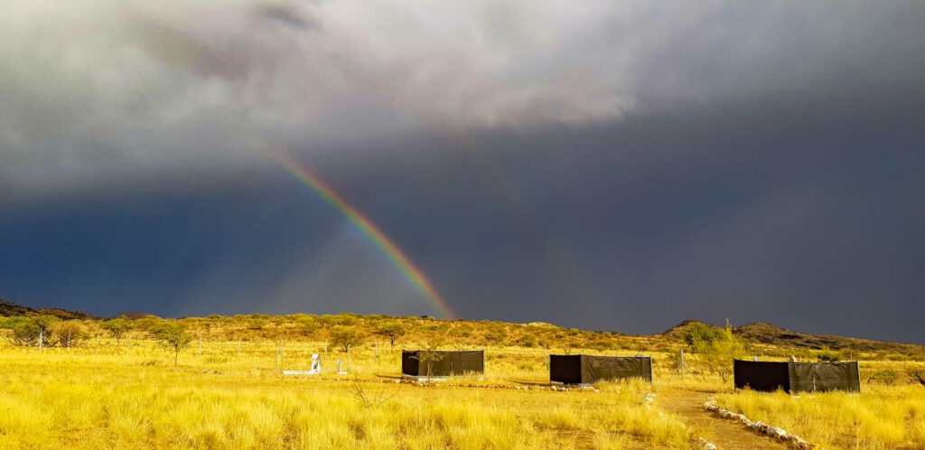 rooisand rainbow plat